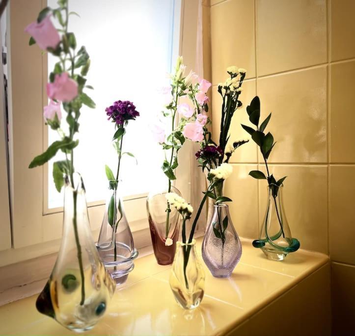 קרלובי וארי Sunny City - Apartment In Spa Zone With Private Garage מראה חיצוני תמונה
